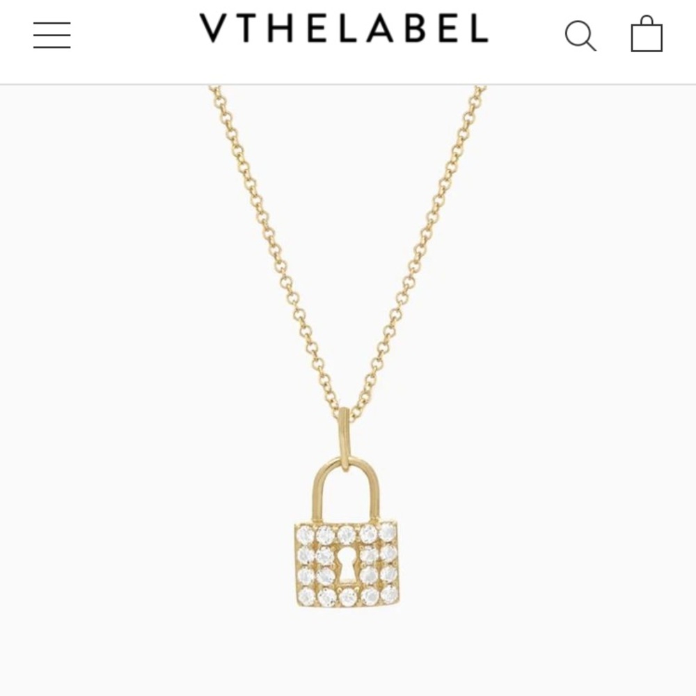 New in box v the label necklace